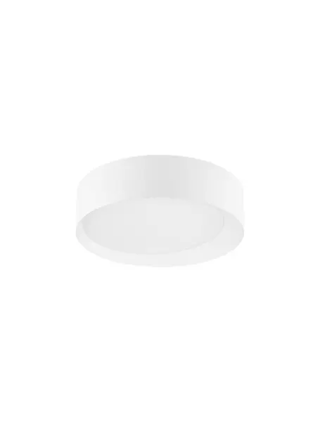 Stropné svietidlá -  Novaluce Stropné svietidlo LED so stmievaním Oby 60 biele