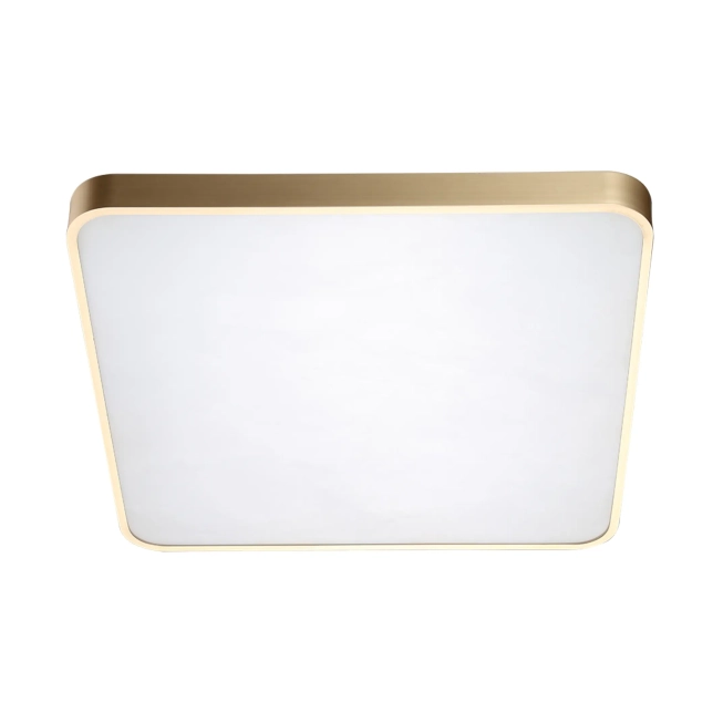 Stropné svietidlá - Zumaline Moderné stropné svietidlo Sierra 50 zlatá