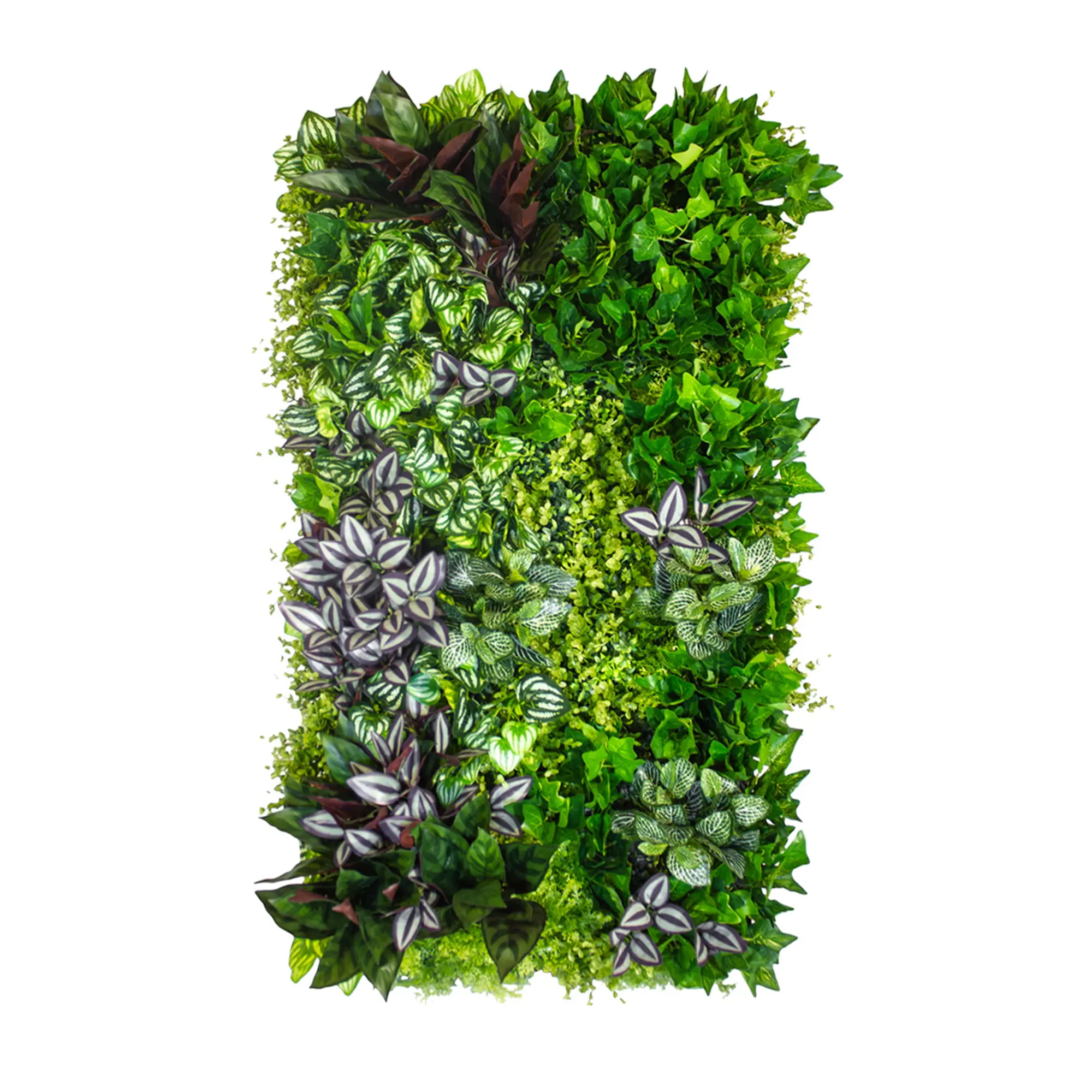 Zelené steny - Vertical garden Vineyard