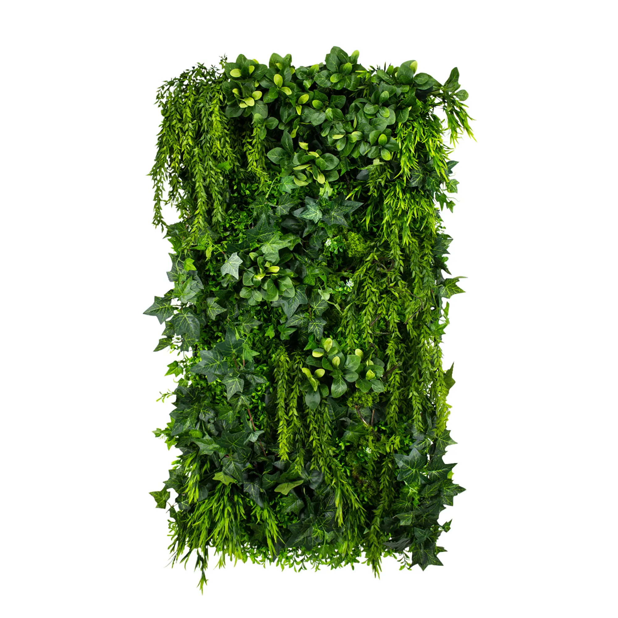 Zelené steny - Vertical garden Green Ivy