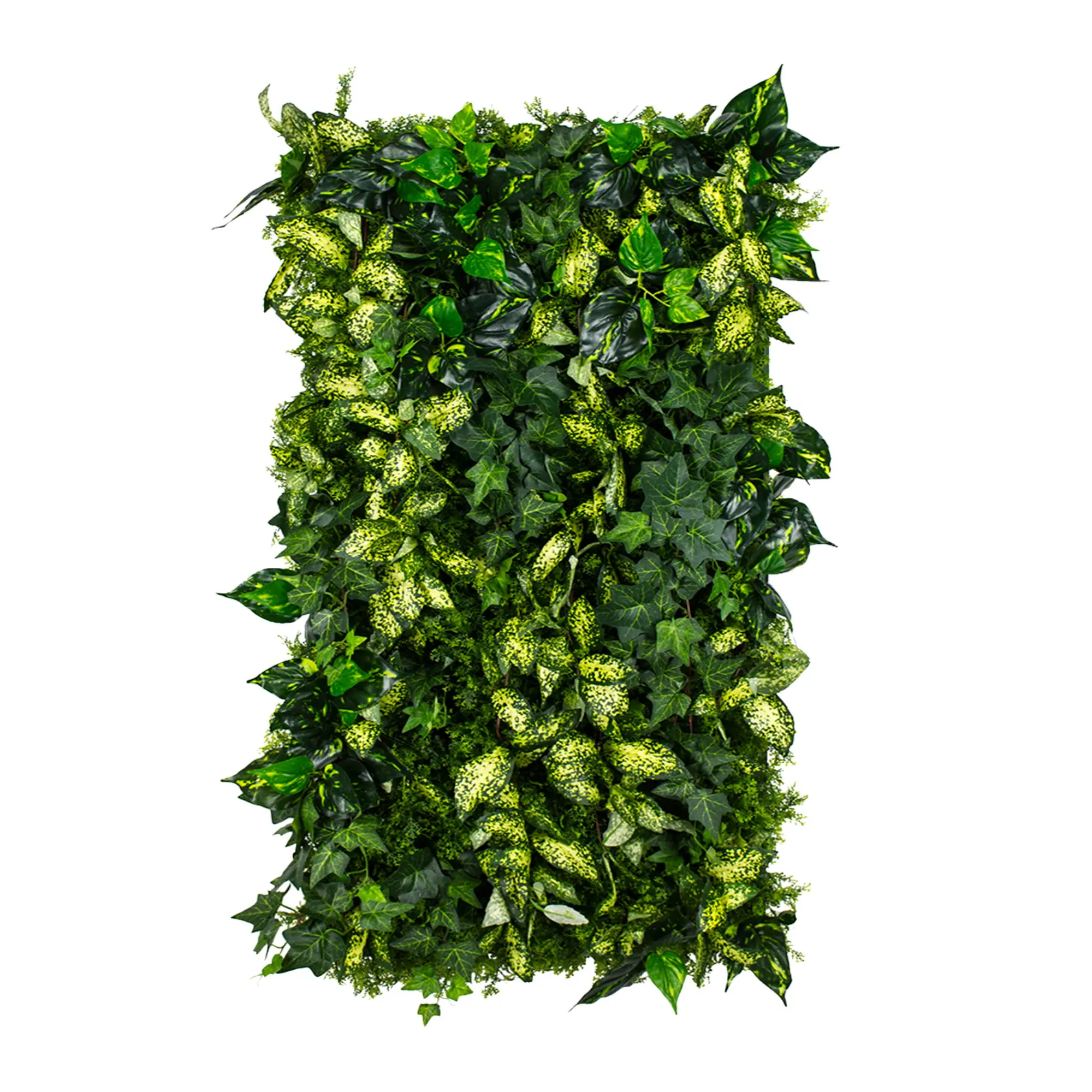 Zelené steny - Vertical garden Grown Ivy