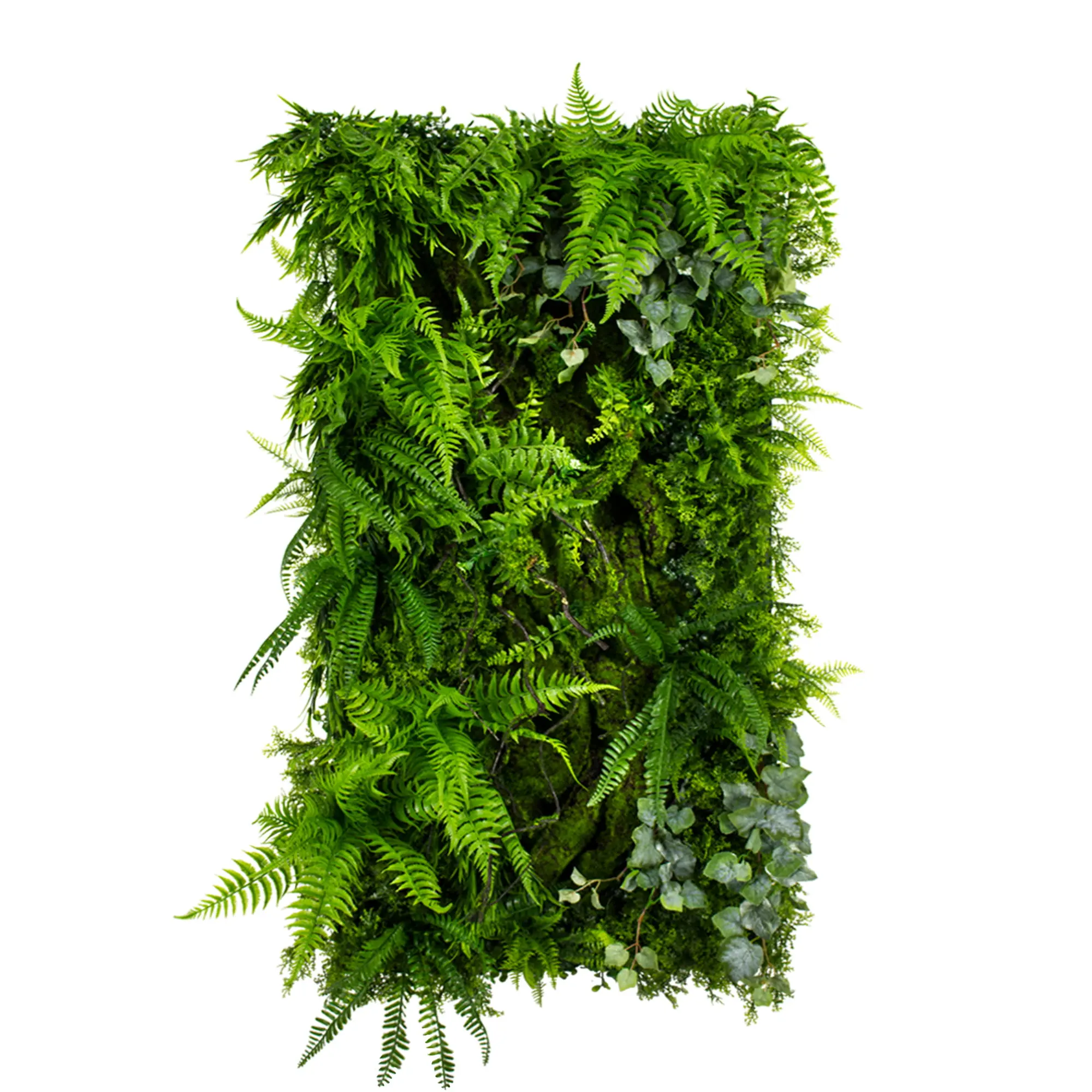 Zelené steny - Vertical garden Leafy Frond