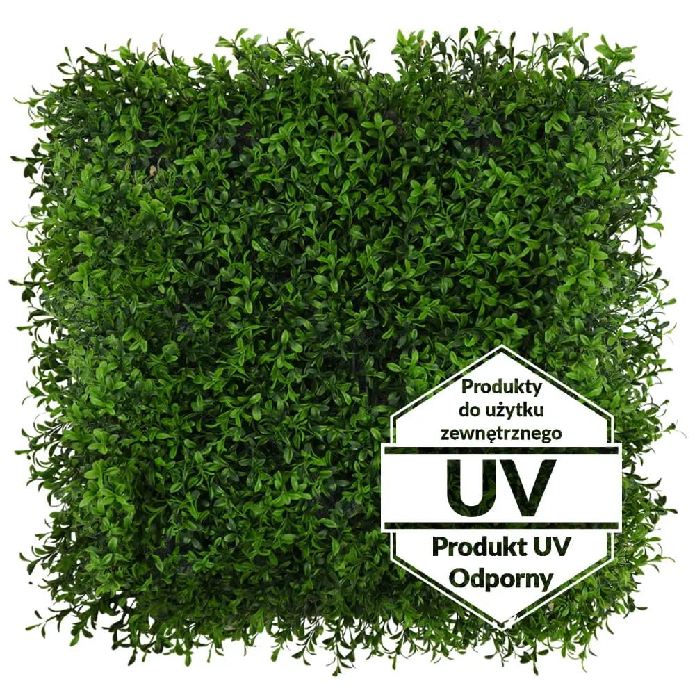 Zelené steny - Artificial Green Wall Buxus UV 50x50cm
