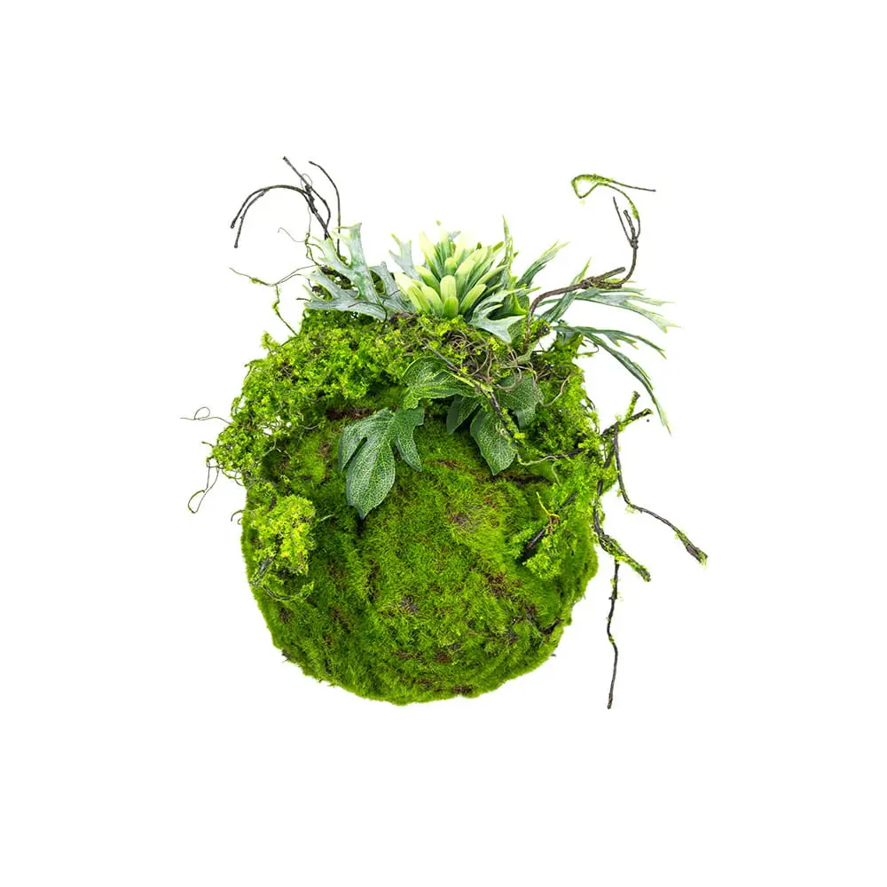 Green Designers Decorative Moss Ball 25 cm