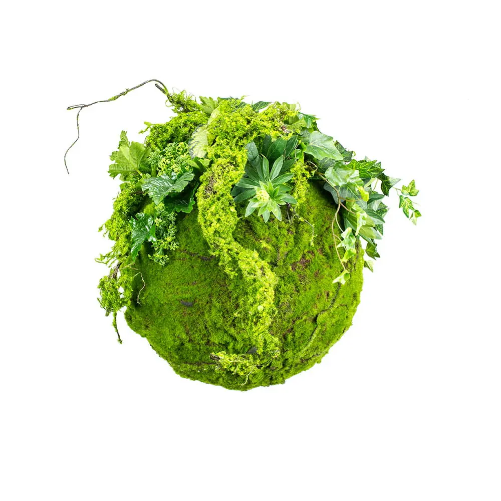 Visiace rastliny- Green Designers Hanging Moss Ball 35cm